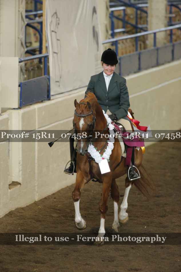 Proof Number 15R11_07458