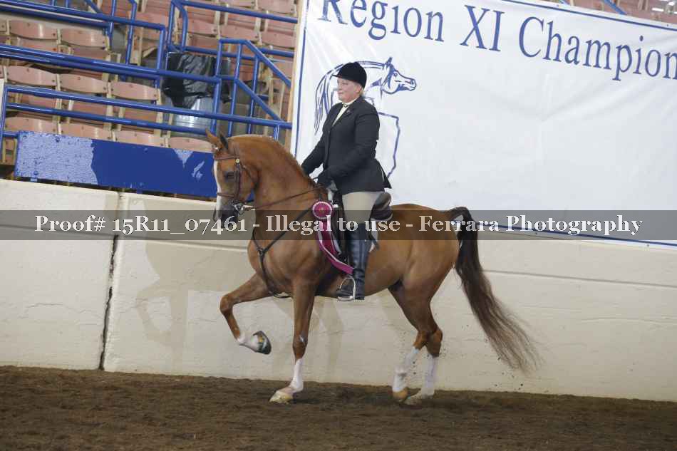 Proof Number 15R11_07461