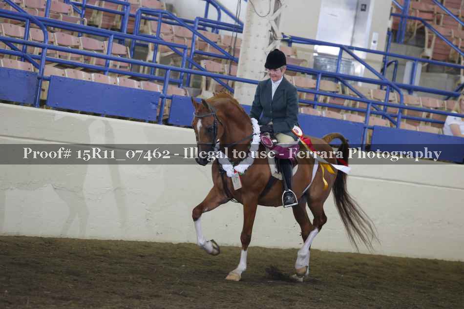 Proof Number 15R11_07462