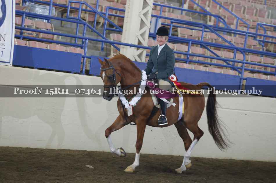 Proof Number 15R11_07464