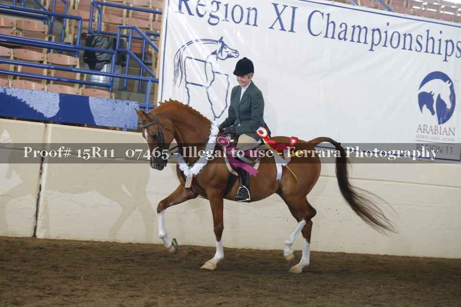 Proof Number 15R11_07465