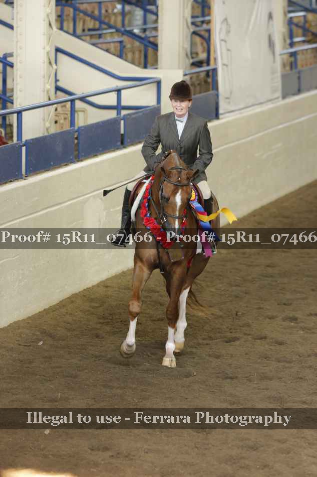 Proof Number 15R11_07466