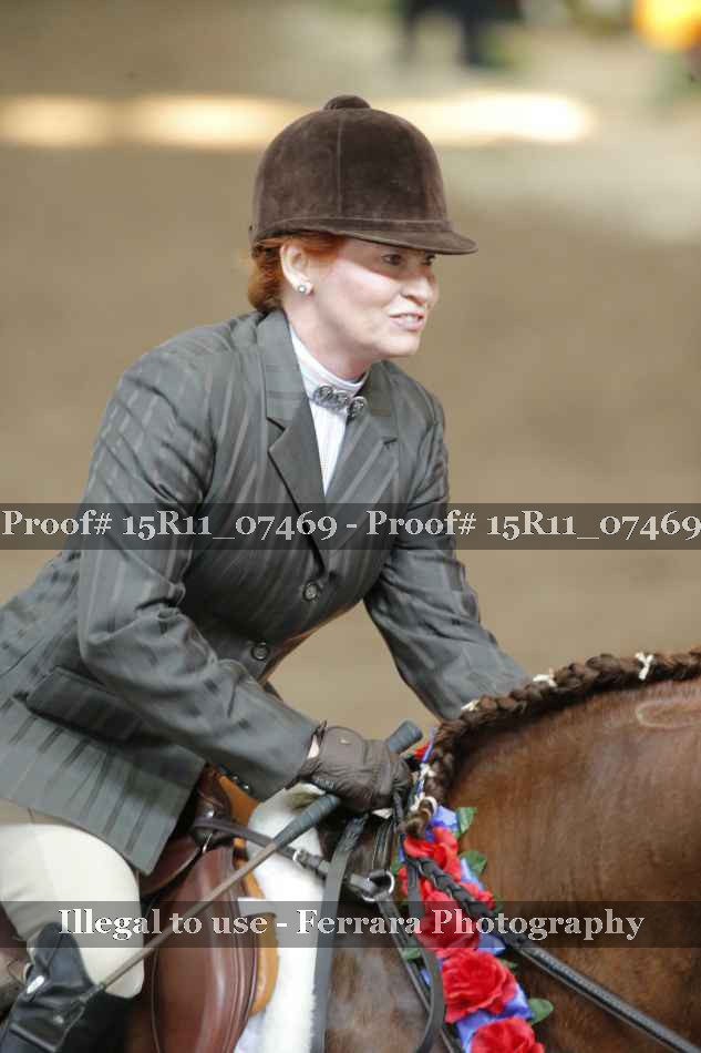 Proof Number 15R11_07469