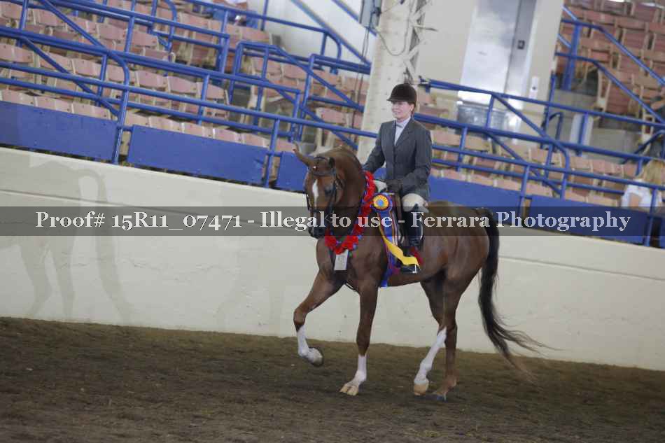 Proof Number 15R11_07471