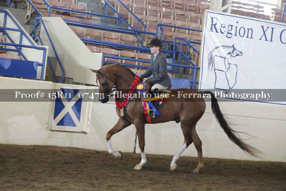 Proof Number 15R11_07473