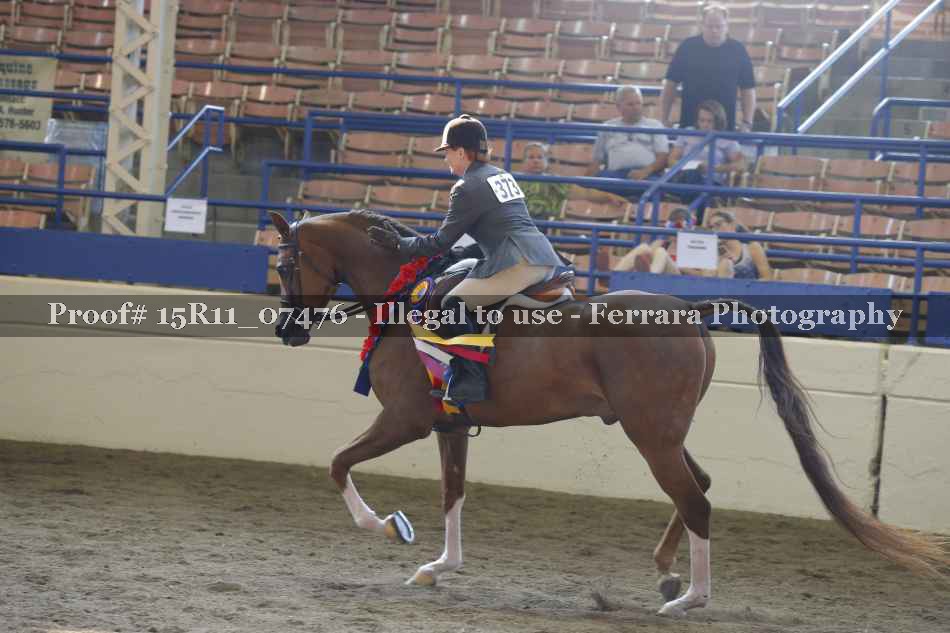Proof Number 15R11_07476