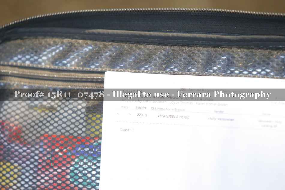 Proof Number 15R11_07478