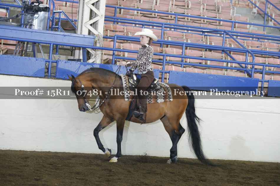 Proof Number 15R11_07481