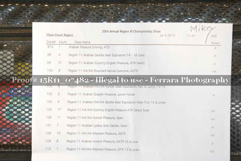 Proof Number 15R11_07482