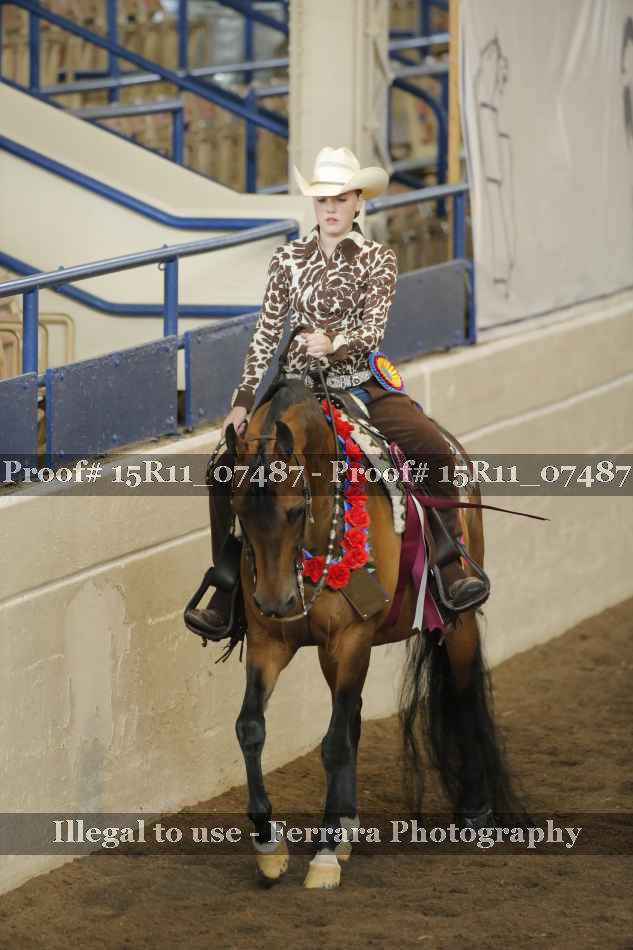 Proof Number 15R11_07487