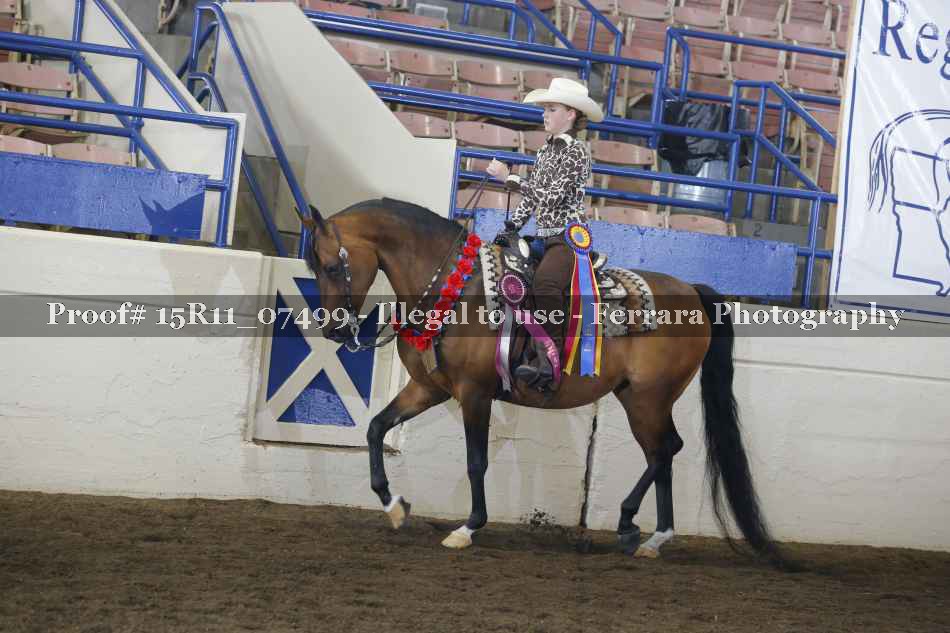 Proof Number 15R11_07499