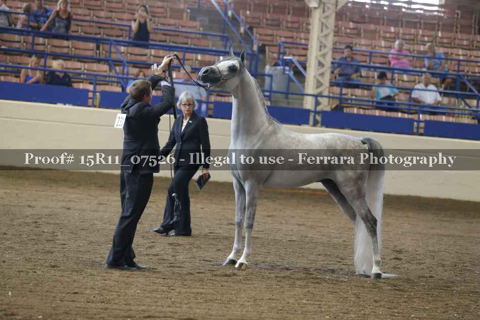 Proof Number 15R11_07526