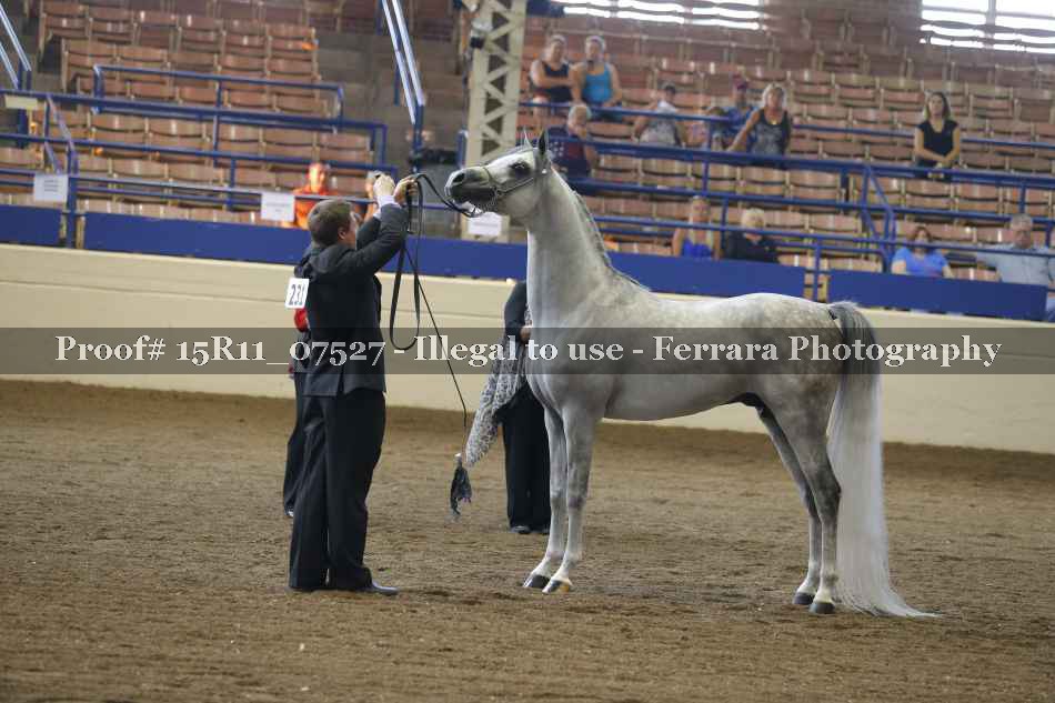 Proof Number 15R11_07527