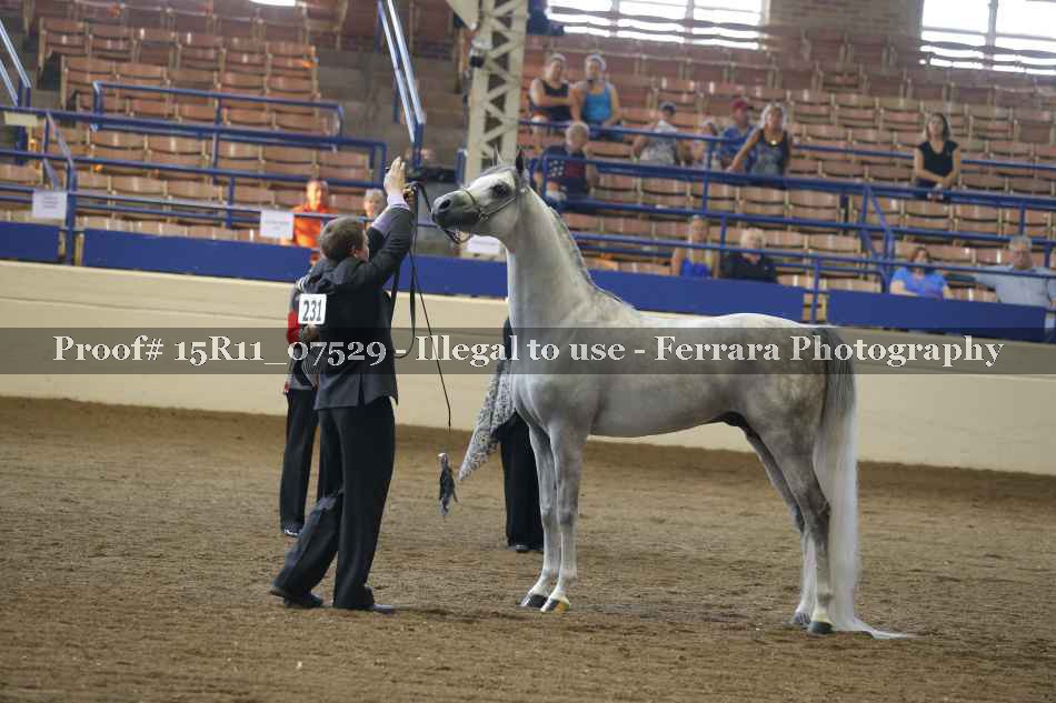 Proof Number 15R11_07529