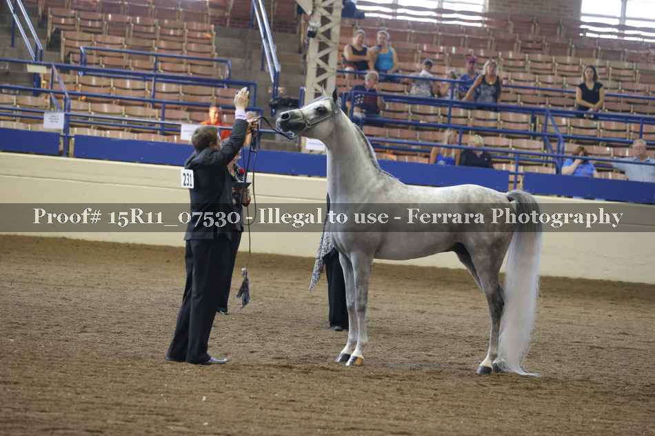 Proof Number 15R11_07530