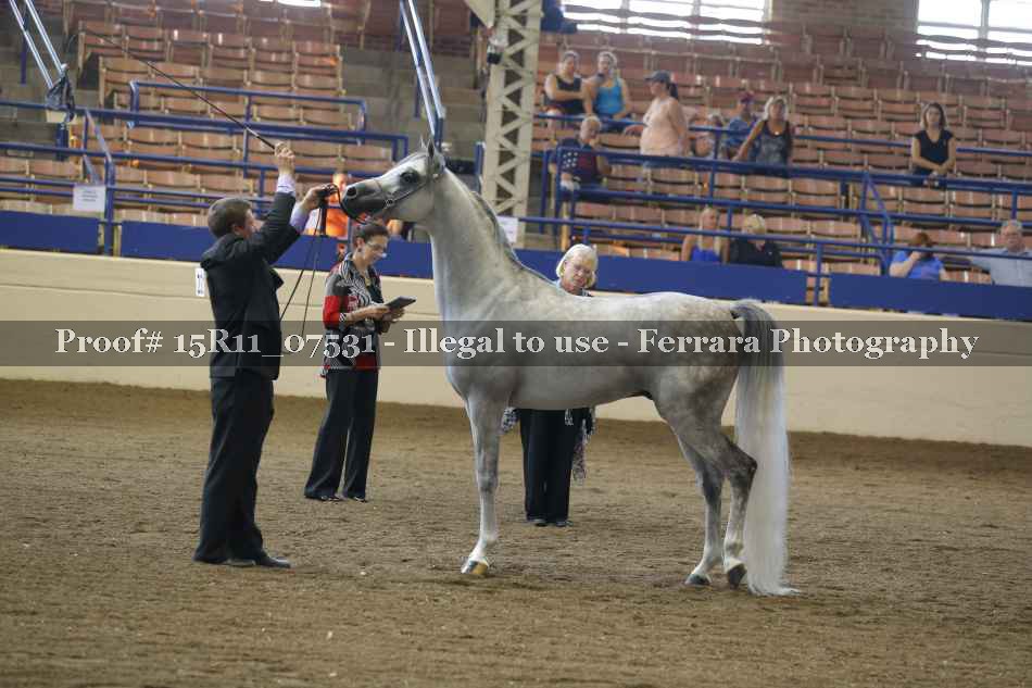 Proof Number 15R11_07531