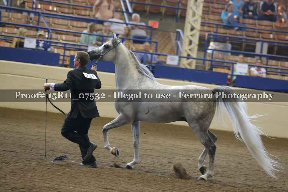 Proof Number 15R11_07532