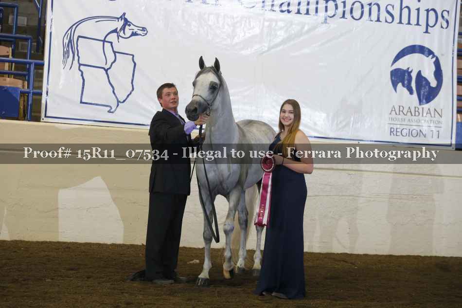 Proof Number 15R11_07534