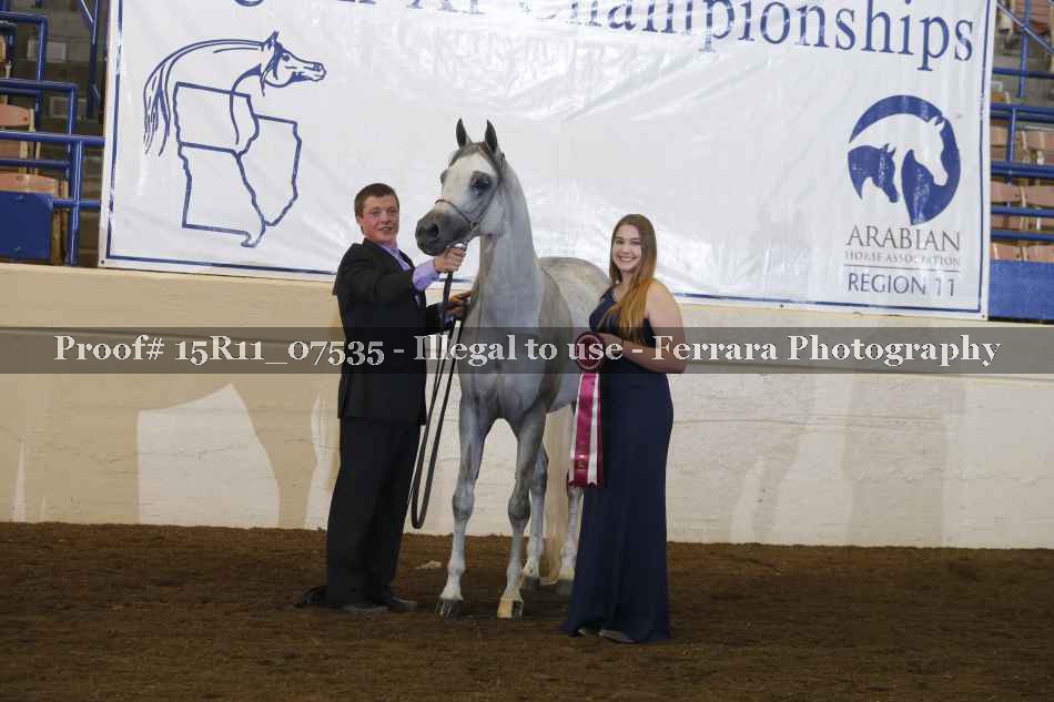 Proof Number 15R11_07535