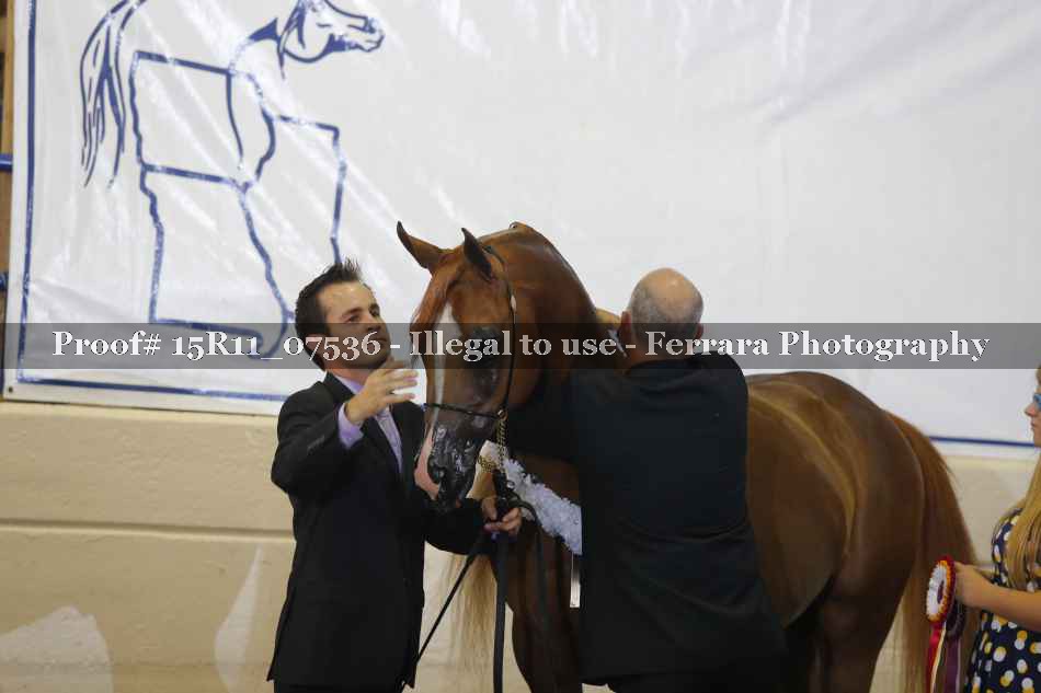 Proof Number 15R11_07536