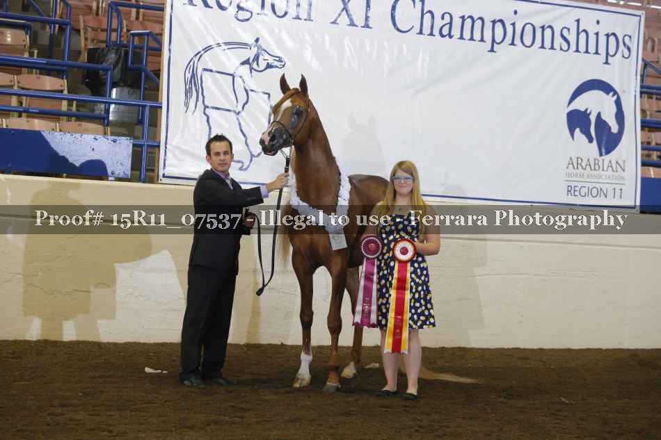 Proof Number 15R11_07537