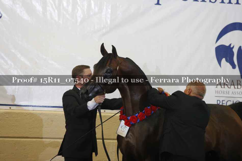 Proof Number 15R11_07540