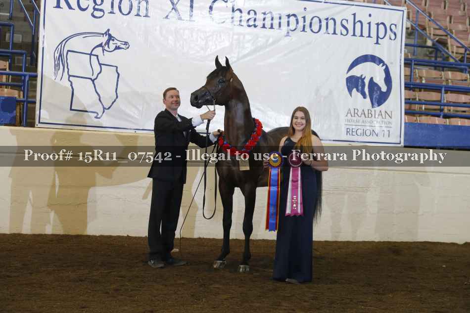 Proof Number 15R11_07542