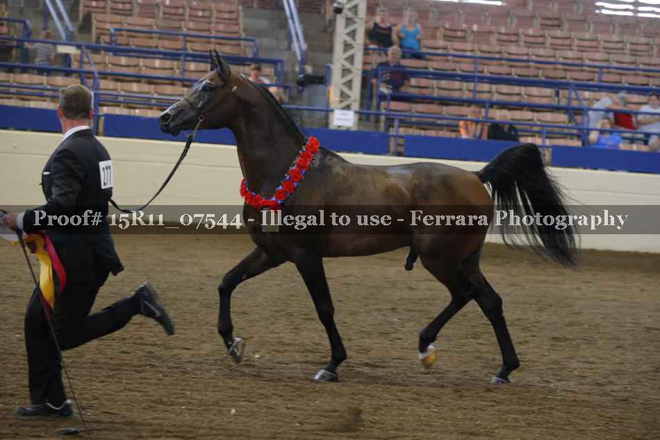 Proof Number 15R11_07544