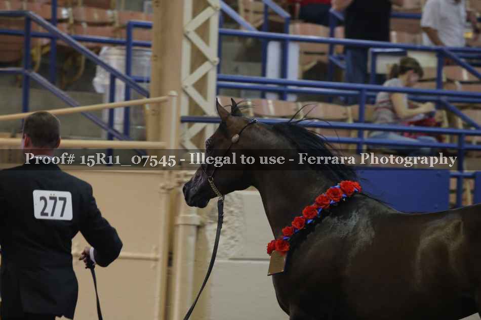 Proof Number 15R11_07545