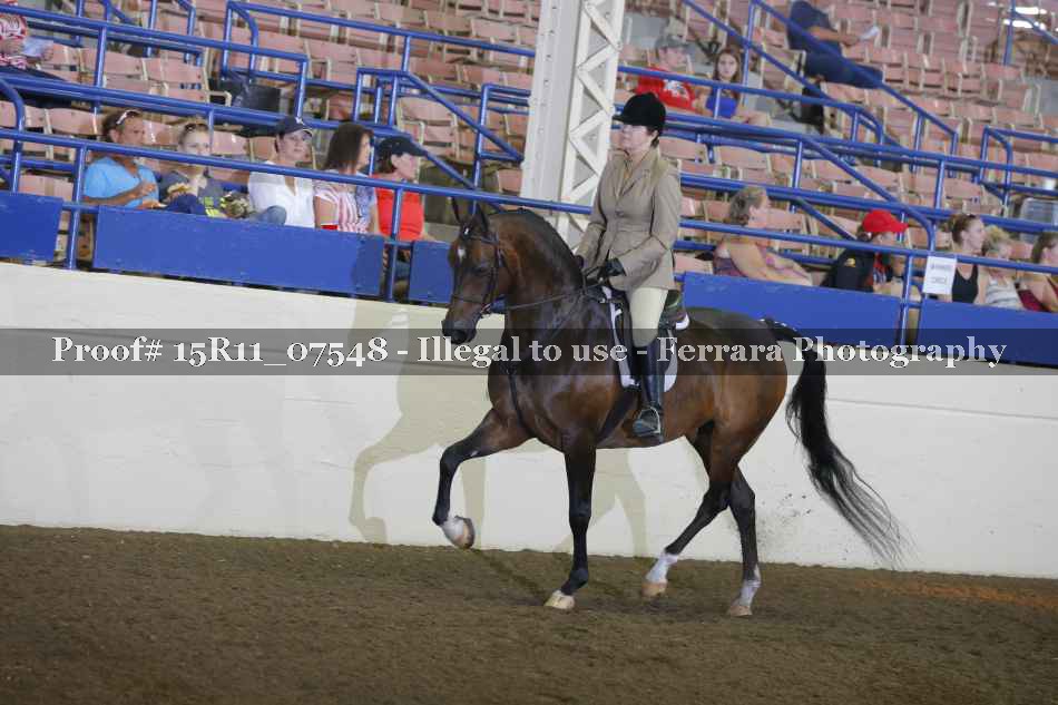 Proof Number 15R11_07548