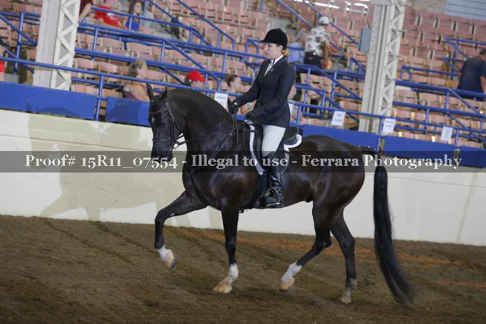 Proof Number 15R11_07554