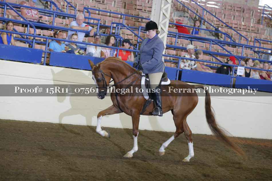 Proof Number 15R11_07561