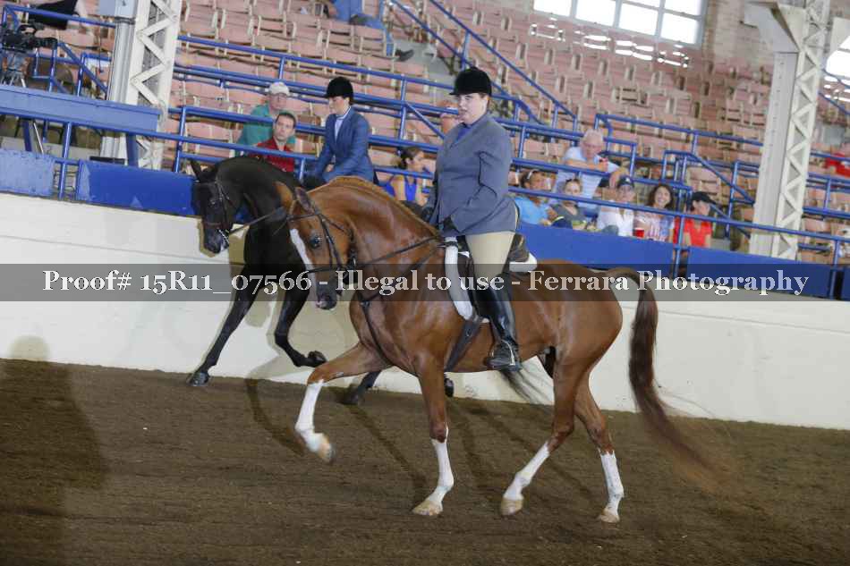 Proof Number 15R11_07566