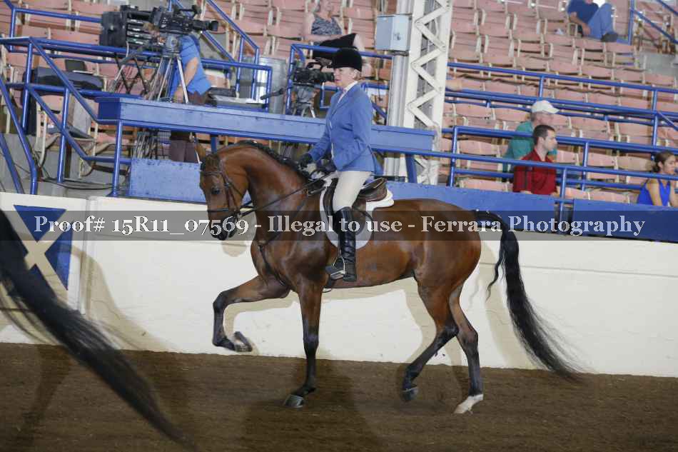 Proof Number 15R11_07569