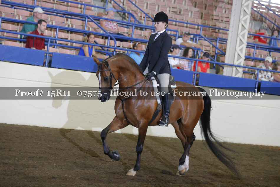 Proof Number 15R11_07575