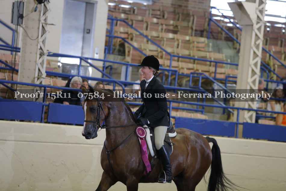 Proof Number 15R11_07584