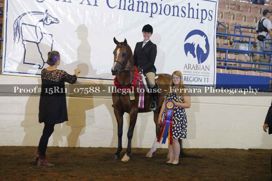 Proof Number 15R11_07588
