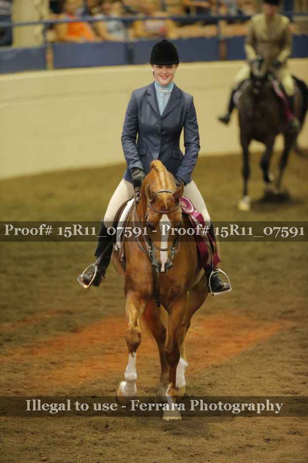 Proof Number 15R11_07591