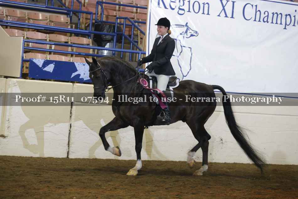 Proof Number 15R11_07594