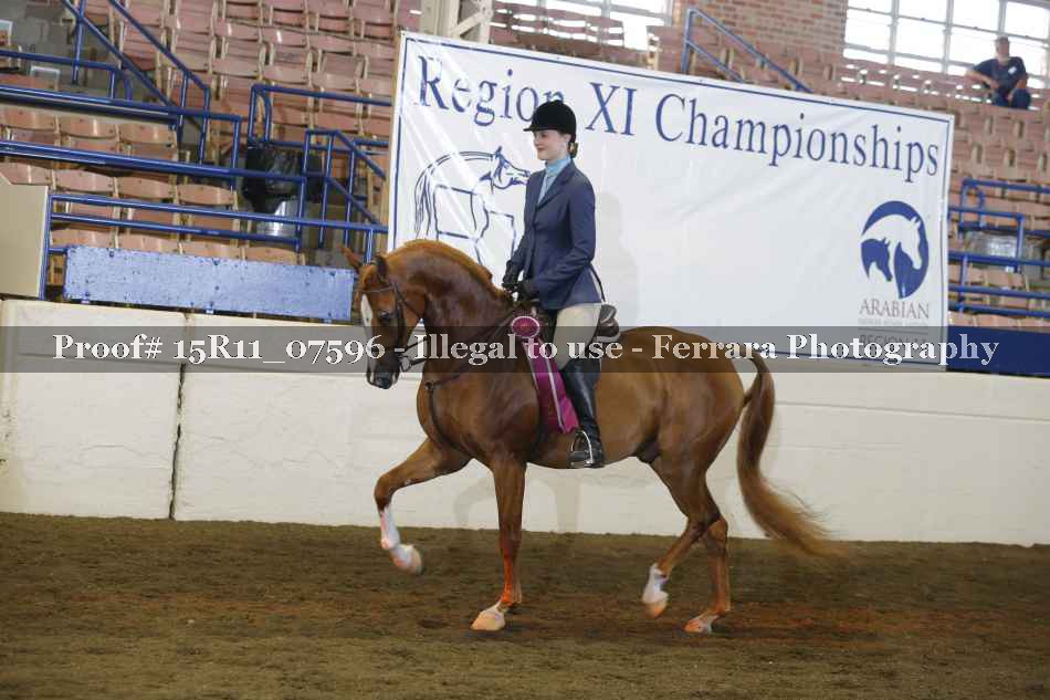 Proof Number 15R11_07596