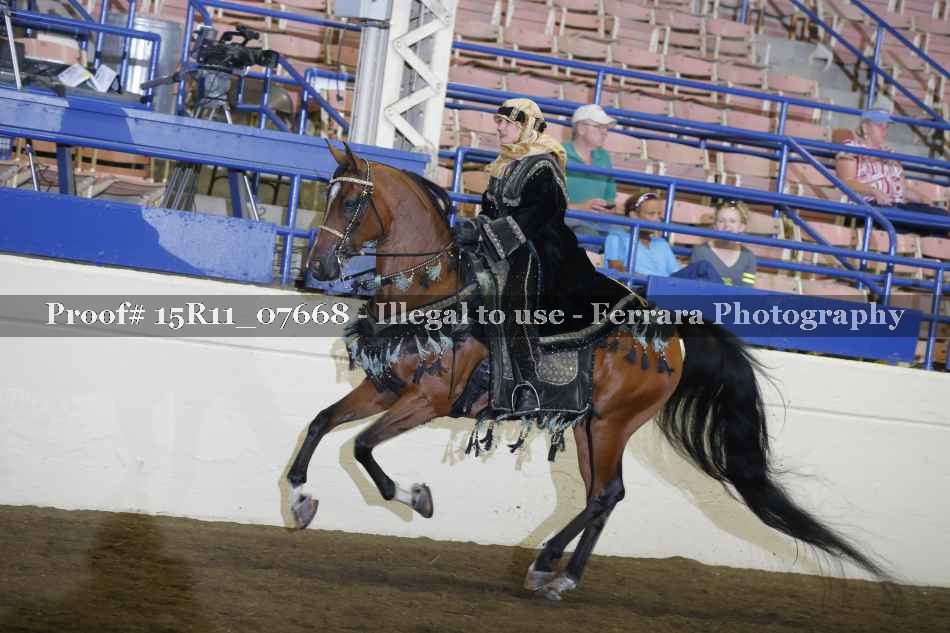 Proof Number 15R11_07668