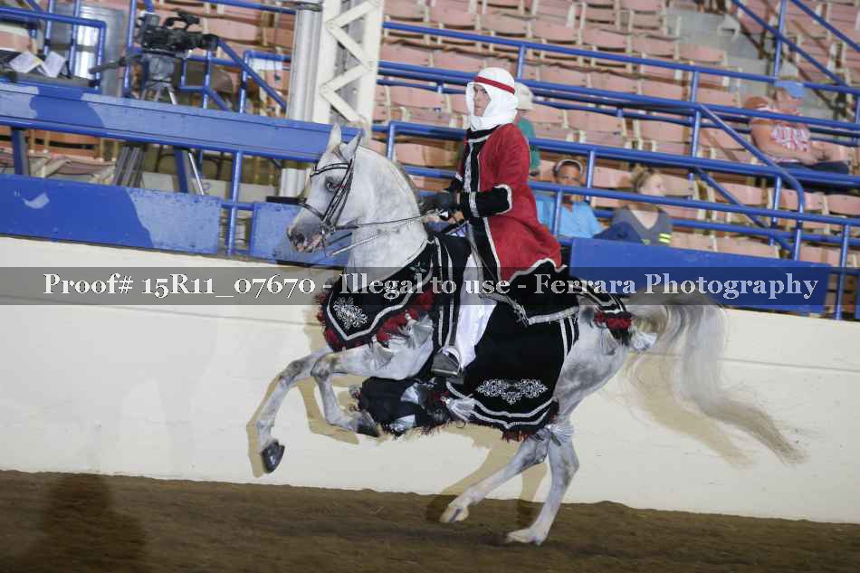 Proof Number 15R11_07670
