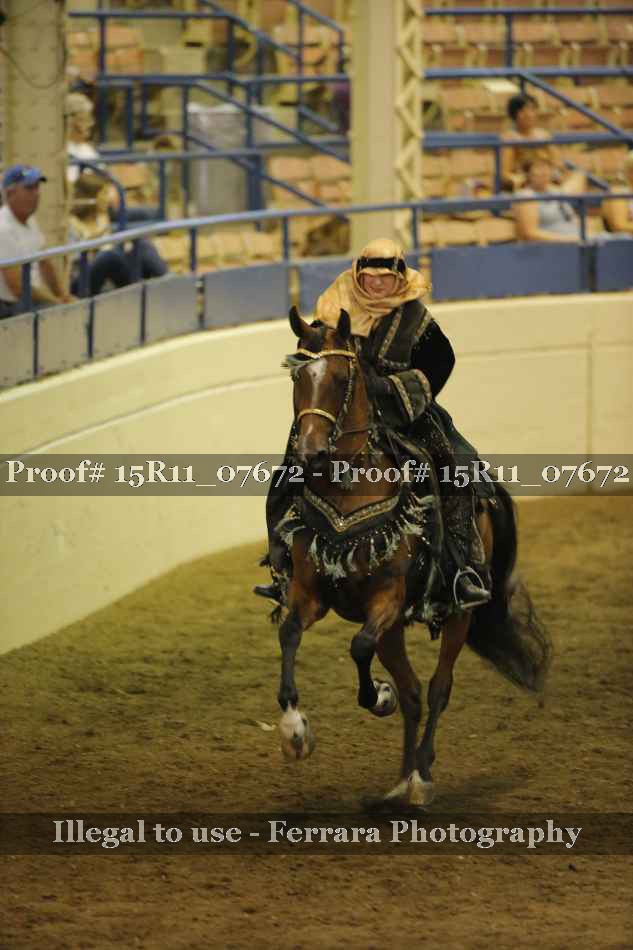 Proof Number 15R11_07672