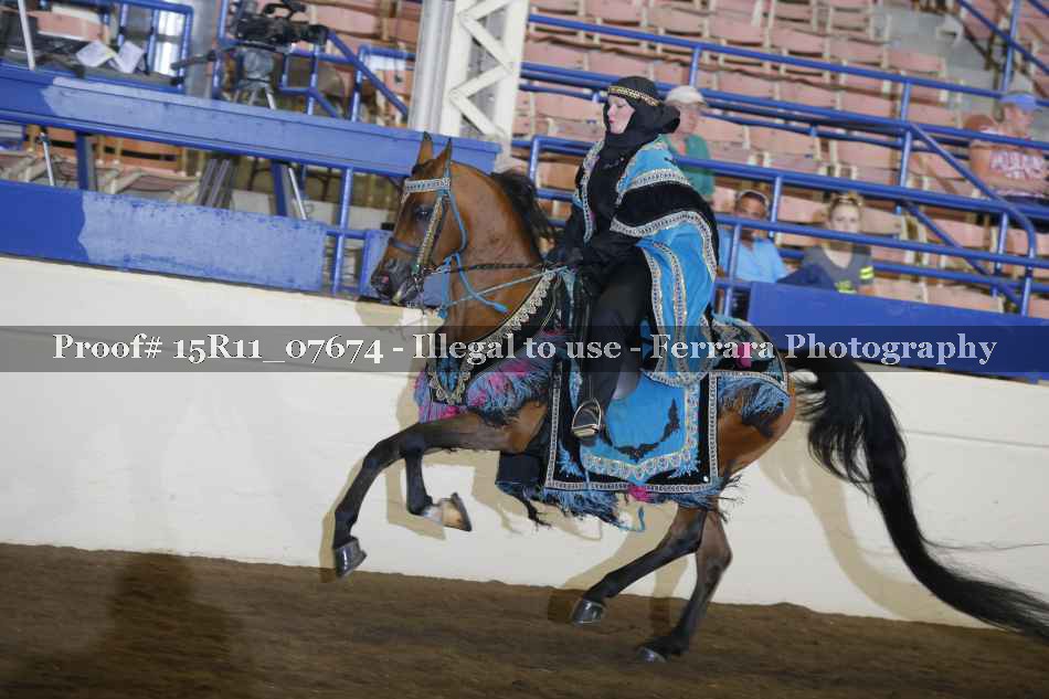 Proof Number 15R11_07674