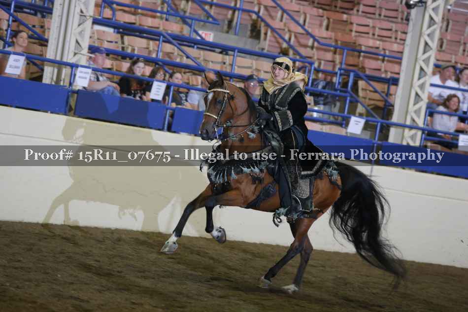 Proof Number 15R11_07675