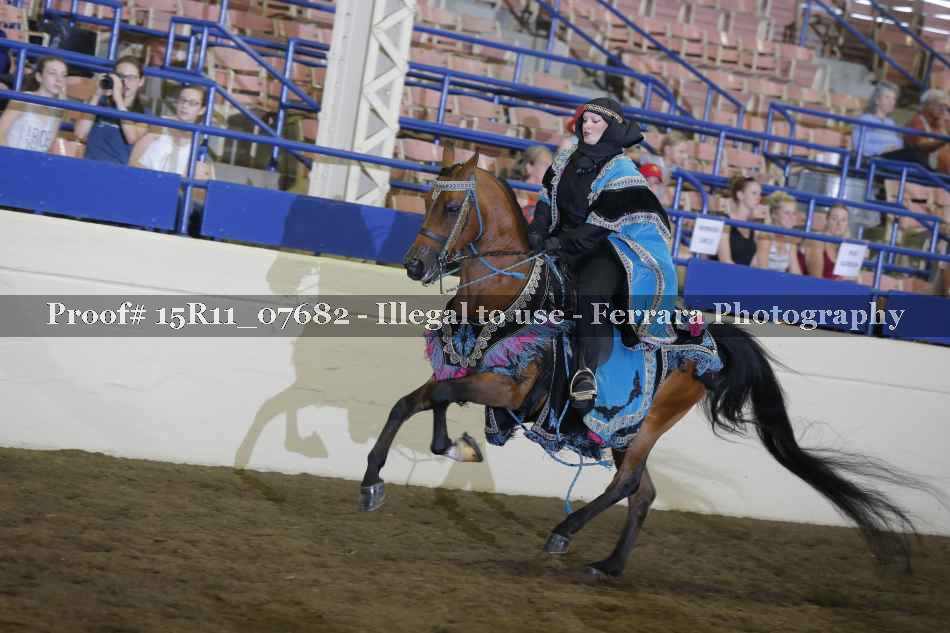 Proof Number 15R11_07682