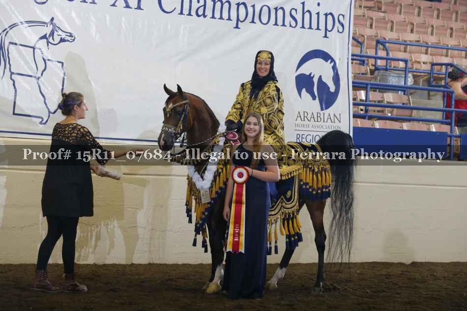Proof Number 15R11_07684