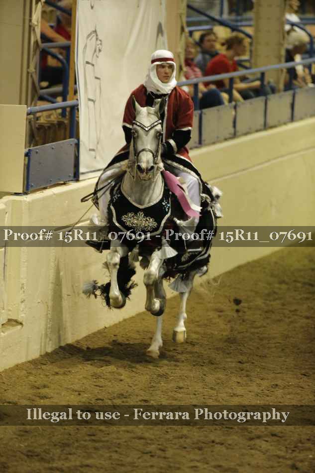Proof Number 15R11_07691