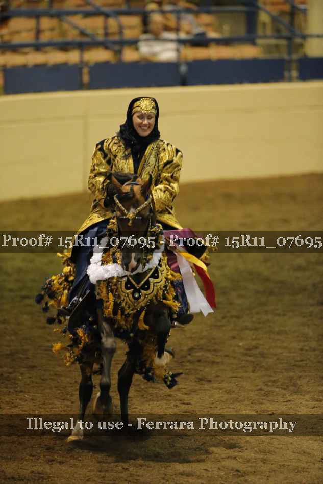 Proof Number 15R11_07695