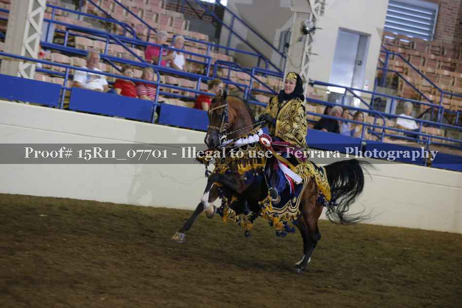 Proof Number 15R11_07701
